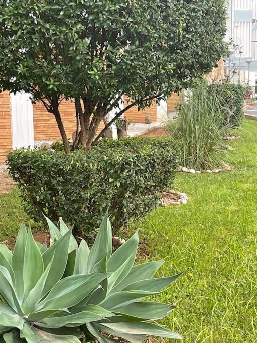 ''los Pinos'' 50m De La Appartement *
